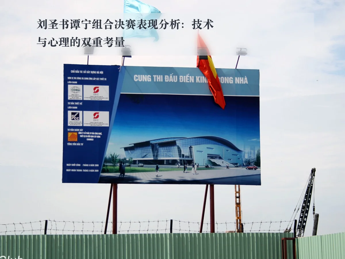 刘圣书谭宁组合决赛表现分析:技术与心理的双重考量